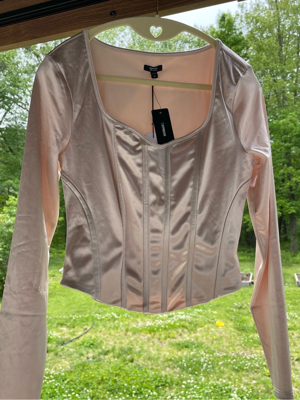 Express Pale Blush Satin Corset-Style Long Sleeve Top